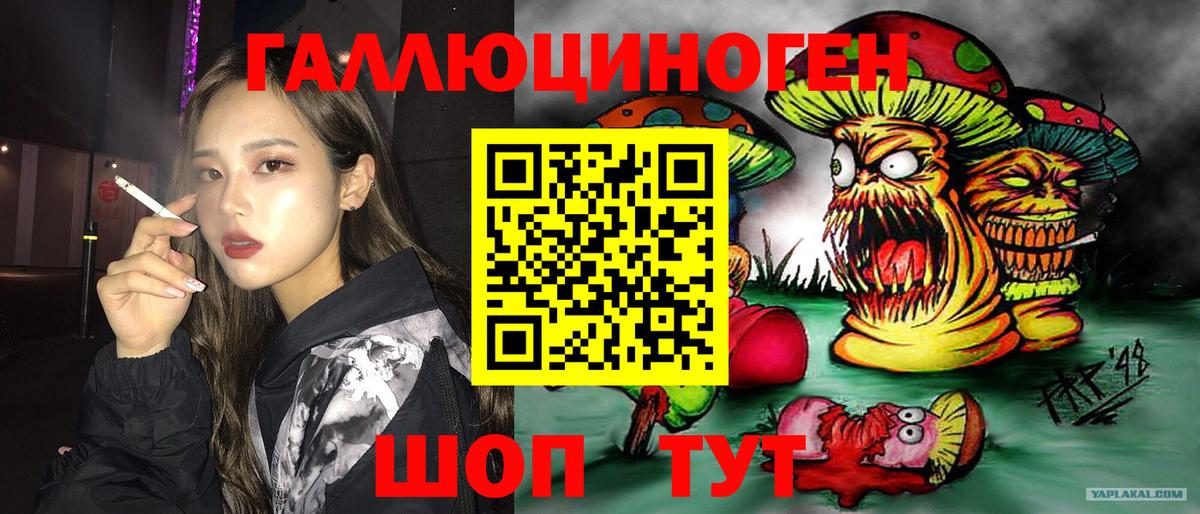 Галлюциногенные грибы мицелий  Вход с VPN  Звенигород 
